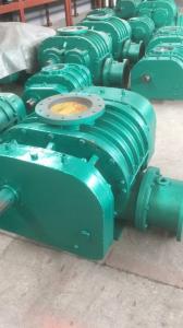 羅茨鼓風(fēng)機